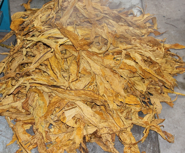 Tobacco Steaming Machine1